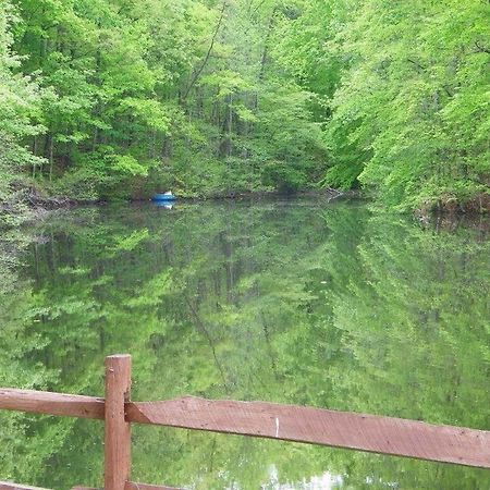 Lake Myers Lakeside Villa 16 Mocksville 외부 사진