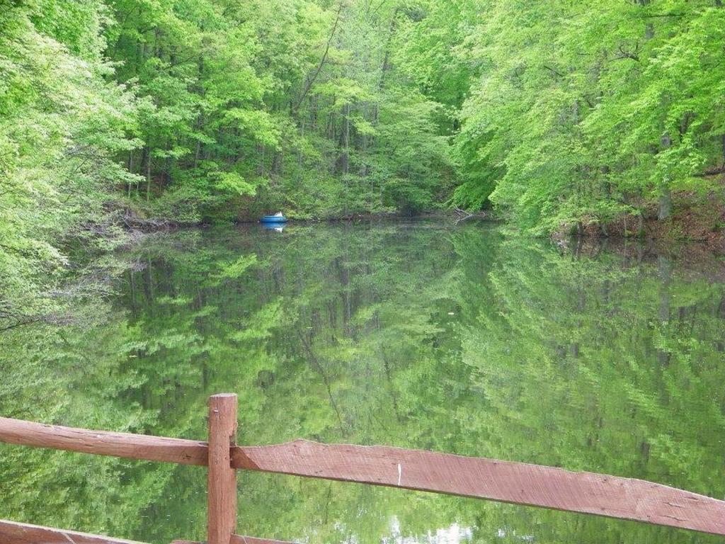 Lake Myers Lakeside Villa 16 Mocksville 외부 사진